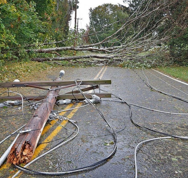 Noreaster downed trees